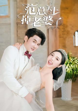 短剧范总天上掉老婆了海报