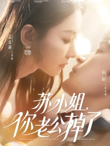 短剧苏小姐，你老公掉了海报