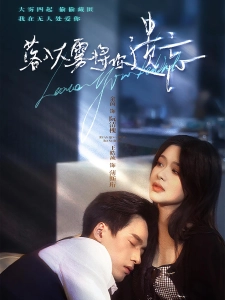 短剧落入大雾将你遗忘海报