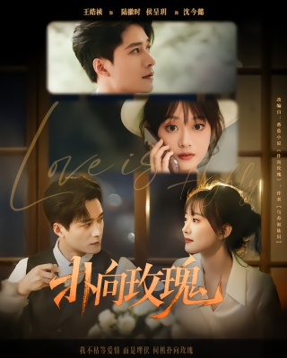 短剧扑向玫瑰海报