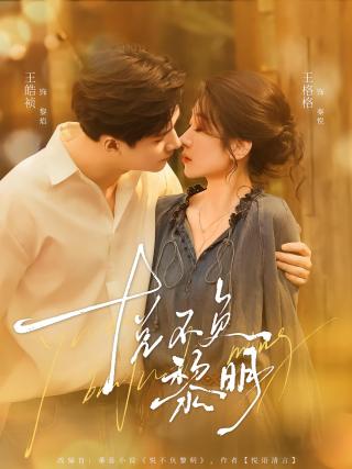 短剧悦不负黎明海报