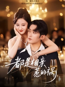 短剧都是相亲惹的祸海报