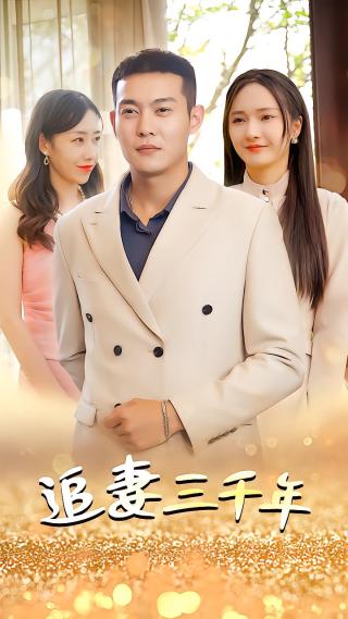 短剧追妻三千年海报