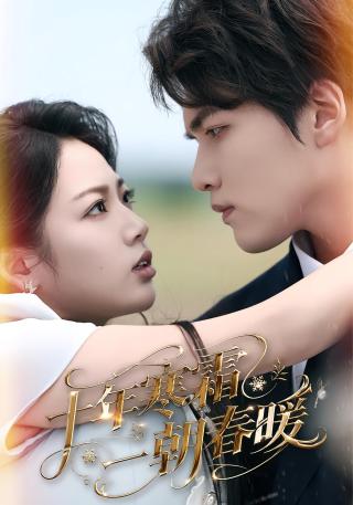 短剧十年寒霜一朝春暖海报