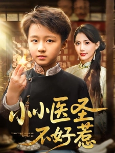 短剧小小医圣不好惹海报