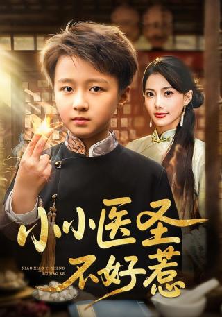 短剧小小医圣不好惹海报