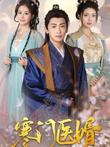 短剧寒门医婿海报