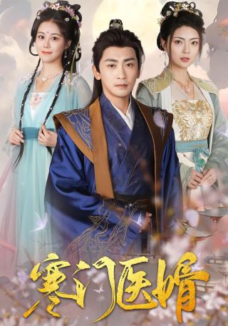 短剧寒门医婿海报