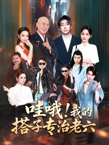 短剧哇哦！我的搭子专治老六海报