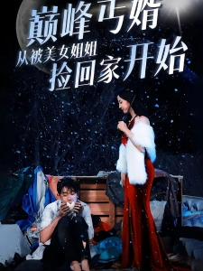 短剧巅峰丐婿从被美女姐姐捡回家开始海报