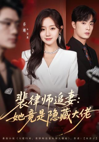 短剧裴律师追妻：她竟是隐藏大佬海报