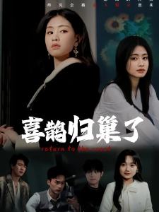 短剧喜鹊归巢了海报