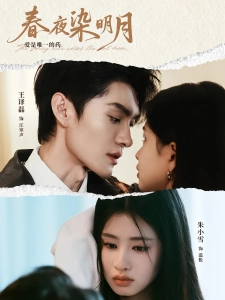 短剧春夜染明月海报