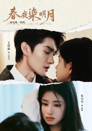 短剧春夜染明月海报