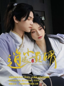 短剧逍遥小贵婿海报