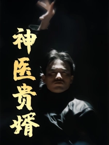 短剧神医贵婿海报