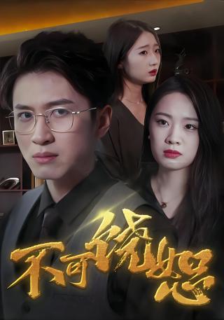 短剧不可饶恕海报