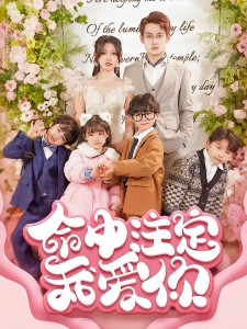 短剧命中注定我爱你海报