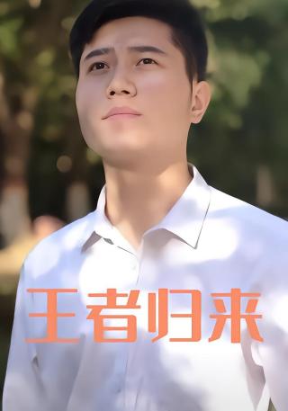 短剧王者归来海报