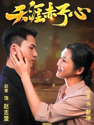 短剧天涯赤子心海报