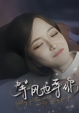 短剧等风也等你海报