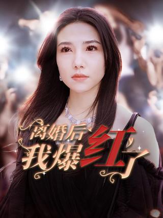 短剧离婚后我爆红了海报