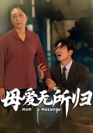 短剧母爱无所归海报