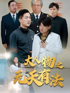 短剧大人物之无天有法海报