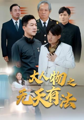 短剧大人物之无天有法海报