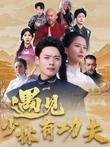 短剧遇见少林有功夫海报