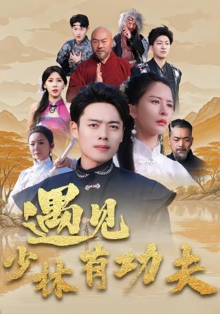 短剧遇见少林有功夫海报