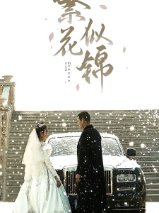 短剧繁花似锦海报