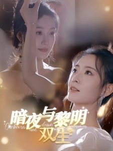 短剧暗夜与黎明：双生海报