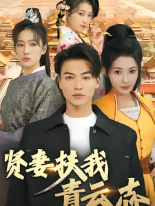 短剧贤妻扶我青云志海报