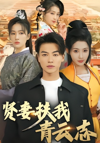 短剧贤妻扶我青云志海报