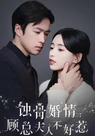 短剧蚀骨婚情：顾总夫人不好惹海报