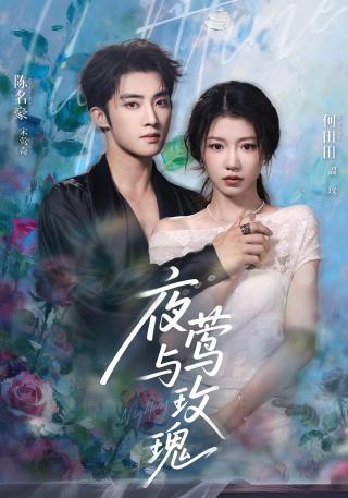 短剧夜莺与玫瑰海报