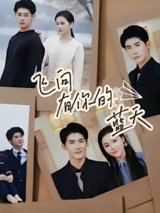 短剧飞向有你的蓝天海报