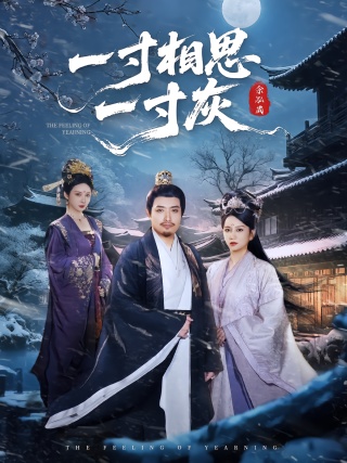 短剧一寸相思一寸灰海报