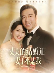 短剧丈夫的结婚证妻子不是我海报