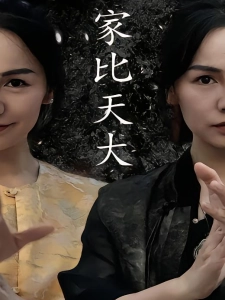 短剧家比天大海报