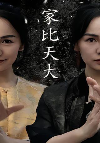 短剧家比天大海报