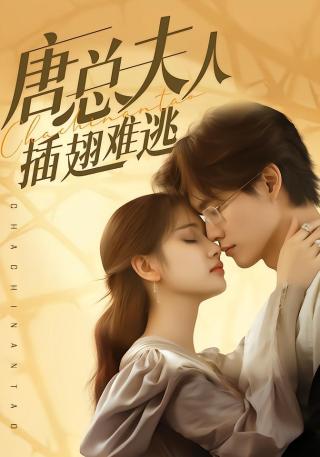 短剧唐总夫人插翅难逃海报