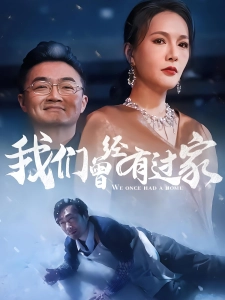 短剧我们曾经有过家海报