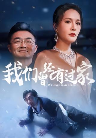 短剧我们曾经有过家海报