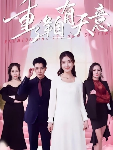 短剧重逢自有天意海报