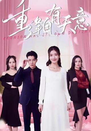 短剧重逢自有天意海报