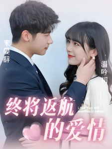 短剧终将返航的爱情海报