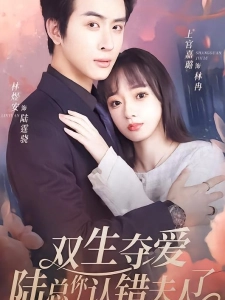 短剧双生夺爱陆总你认错夫人了海报