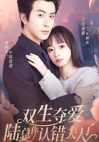 短剧双生夺爱陆总你认错夫人了海报